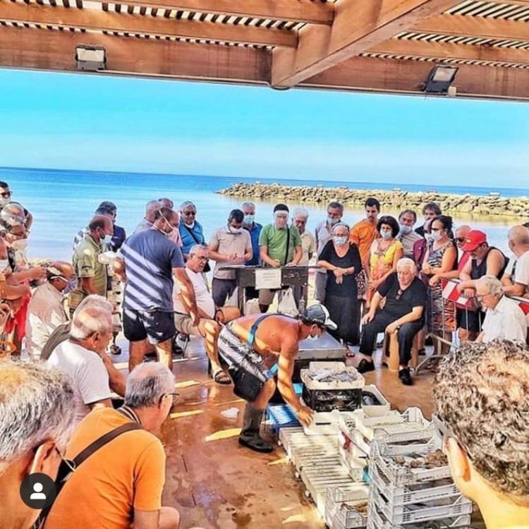 La Terrazza Sul Mar Mediterraneo Marinella di Selinunte Eksteriør billede